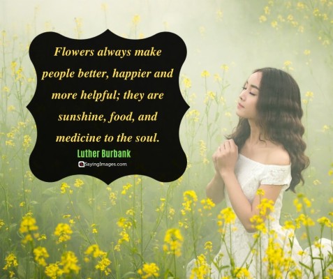 Flower Soul Quotes - 940x788 Wallpaper - teahub.io