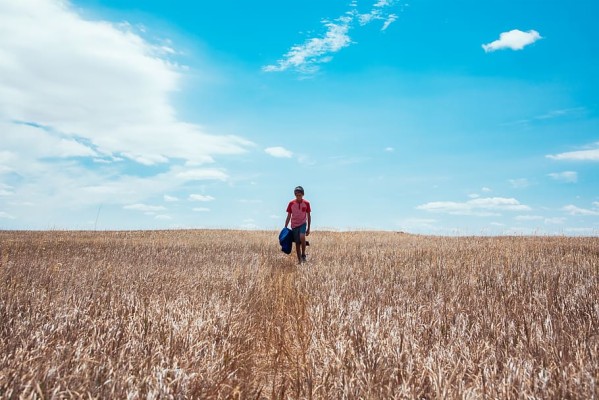 Walking, Alone, Nature, Wildlife, Depressed, Boy, Child, - Field ...