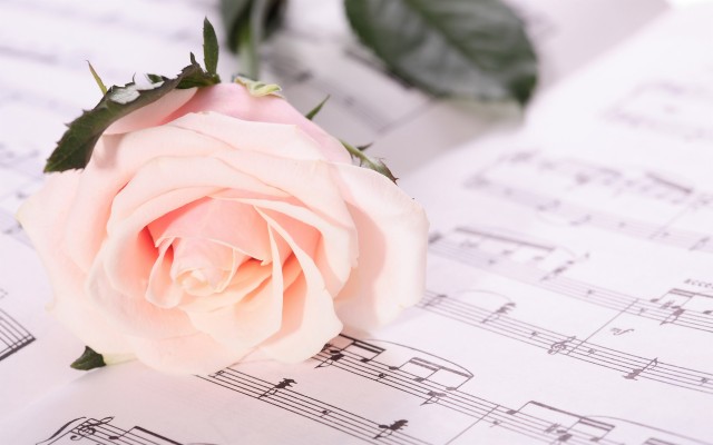 Fond D Ecran Musique 1366x768 Wallpaper Teahub Io