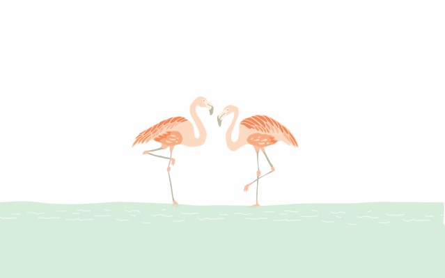 Cute Flamingo Wallpaper Desktop 1856x1161 Wallpaper Teahub Io