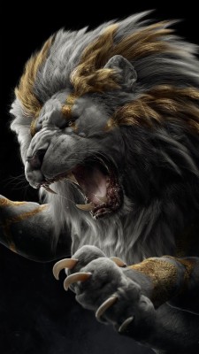 Lion Hd Wallpapers For Mobile 675x10 Wallpaper Teahub Io