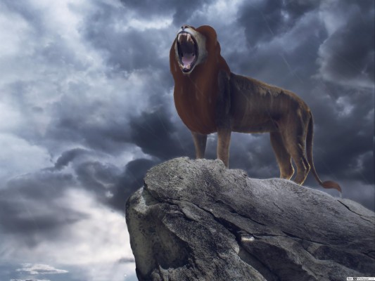 Lion King Simba Roaring - 2560x2048 Wallpaper - teahub.io