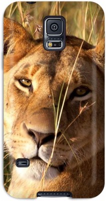 Nala Rey Leon En La Vida Real - 795x1500 Wallpaper - teahub.io