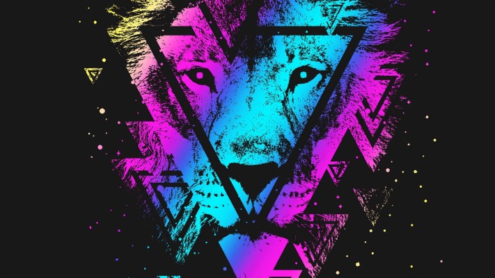 colorful lion wallpaper