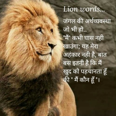 Lion Quotes In Hindi - 1080x1080 Wallpaper - teahub.io