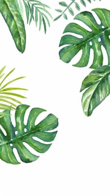 Iphone 7 Banana Leaves - 640x1136 Wallpaper - teahub.io