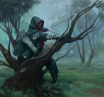 Elven Archer Fantasy Art - 2000x2000 Wallpaper - teahub.io