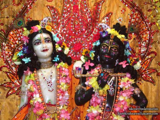 Iskcon Krishna - God Wallpaper Full Hd Download - 1024x768 Wallpaper -  