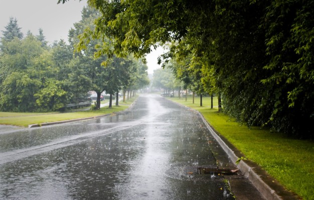 Photo Wallpaper City, Road, Trees, Rainy Day - Monsoon Season In ...