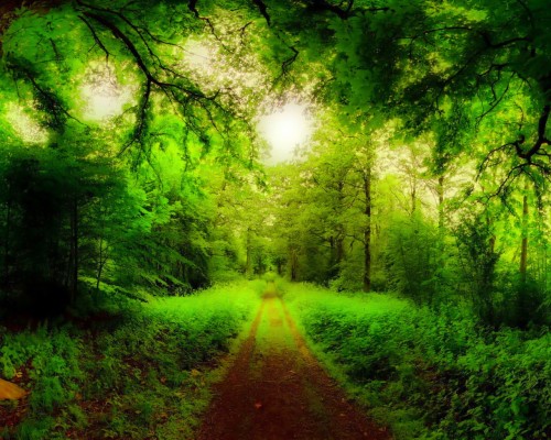 Hd Wallpapers Nature Way - 1280x1024 Wallpaper - teahub.io