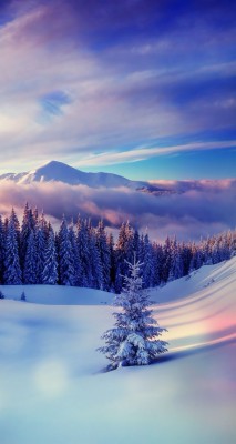 Winter Schnee Schone Landschaft Hd Wallpaper Large Scenery 19x1080 Wallpaper Teahub Io