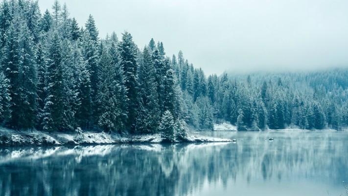 Winter Computer Backgrounds - 5120x3200 Wallpaper - teahub.io