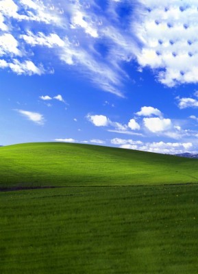 Windows Xp Background Memes - 541x947 Wallpaper - teahub.io