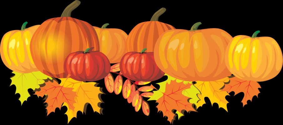 Pumpkin Clipart Wallpaper For Fall Transparent Stock - Fall Pumpkins ...
