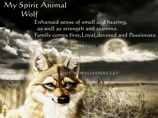 Spirit Animal For Tony Friends 3d - Saarloos Wolfdog - 1600x1200 Wallpaper  