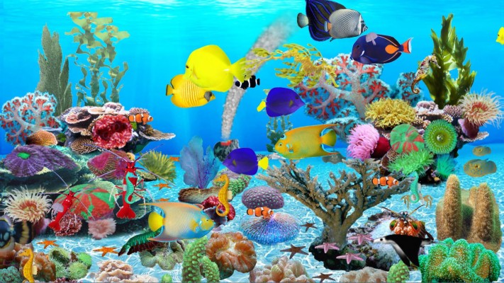 best free aquarium screensaver windows 10 uk