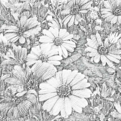 Flowers Pencil Sketch Art Pencil Art Flowers Flower - Flower Pencil Sketch  Drawing - 1024x768 Wallpaper 