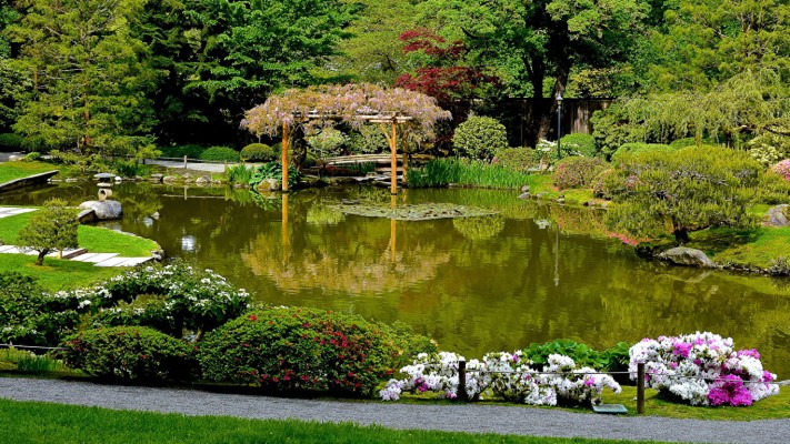 Download Garden Wallpapers and Backgrounds , Page 4 - teahub.io