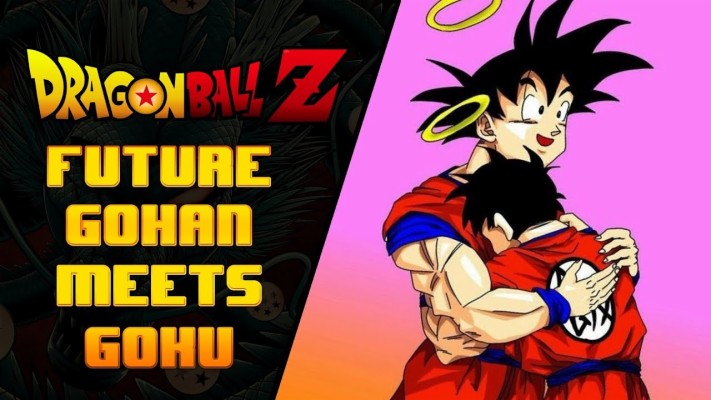Gohan Future Dragon Ball Z Dragon Ball Wallpaper - Dragon Ball Z Vegeta