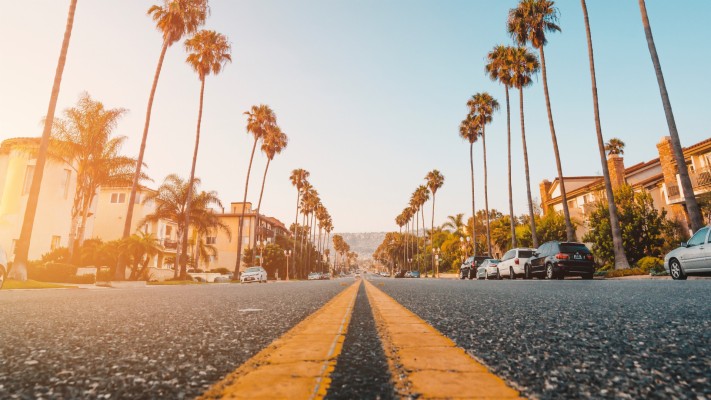 California Palm Trees Wallpaper For Free Hd - 4k Resolution 4k ...