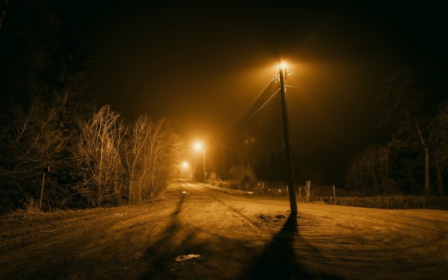 Wallpaper Night, Road, Trees, Lights - 2560 X 1600 Noche Con Arboles ...