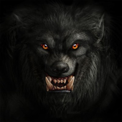 ☠hombre Lobo☠ - 1024x1024 Wallpaper - teahub.io