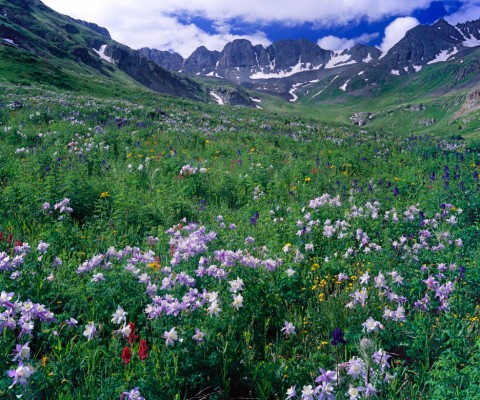 American Basin Colorado - 936x780 Wallpaper - teahub.io