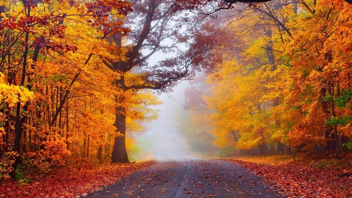 Autumn Wallpapers Free - Autumn Season - 1280x1024 Wallpaper - teahub.io