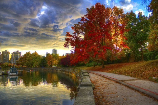 Stanley Park - Stanley Park Vancouver Fall - 1024x683 Wallpaper - teahub.io
