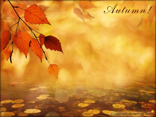 Beautiful Fall Wallpapers - Fall Greeting Cards Sayings - 800x600