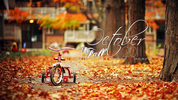 autumn fall october calendar october autumn fall 1920x1080 wallpaper teahub io autumn fall october calendar october