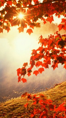 Autumn Mountain Wallpapers For Android - Fall Autumn Landscape