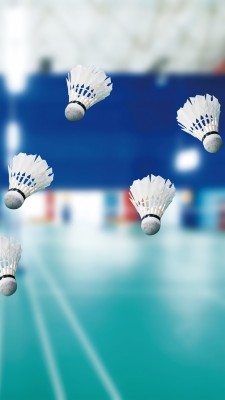 Hd Badminton Background - 728x1294 Wallpaper 