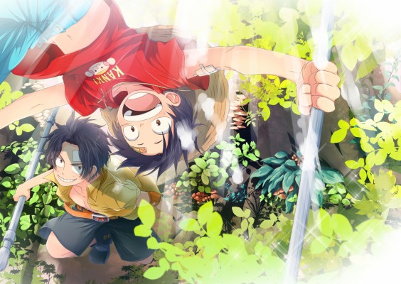 Mugiwara & Hiken - One Piece Luffy Et Ace - 1024x768 Wallpaper - teahub.io