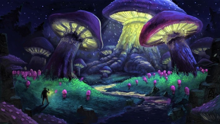 Stunning Wallpapers Id With Enchanted Forest Background - Mushroom Forest  Art - 1920x1080 Wallpaper 