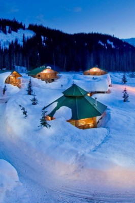 Bell 2 Lodge - 640x960 Wallpaper - teahub.io