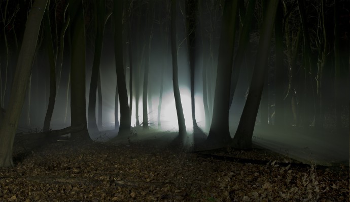 Wallpaper Monster, Silhouette, Forest, Night, Art - Shadow Of A Monster ...