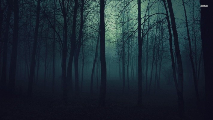 Wallpapers For > Dark Forest Wallpaper Data-src /w/full/d/9/3/232541 ...