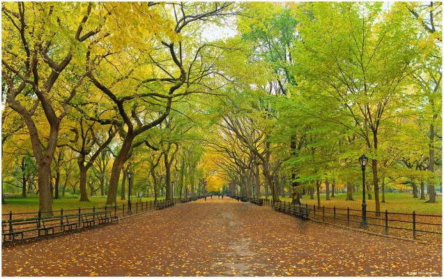 Images For > Central Park Wallpaper Data Src Friends - Central Park ...