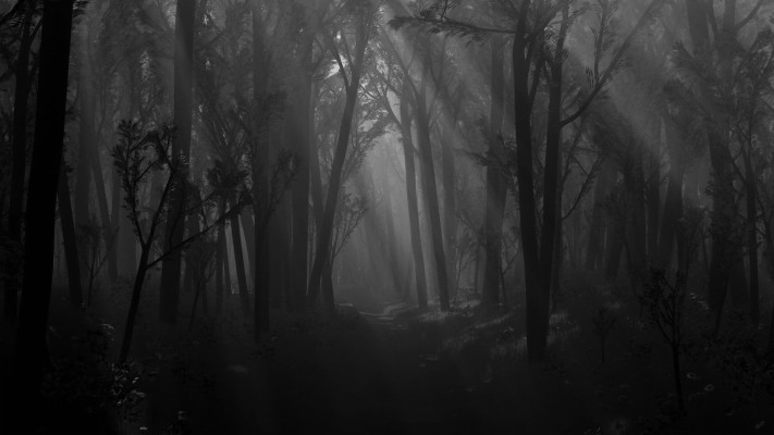 Scary Forest Maze - 1920x1080 Wallpaper 