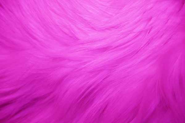 Amazing Pink Fur Wallpaper With Pink Fur Wallpaper - Background Texture Pink  Hd - 1920x1280 Wallpaper 