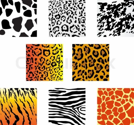 Animal Skin Patterns For Drawing - 800x747 Wallpaper 