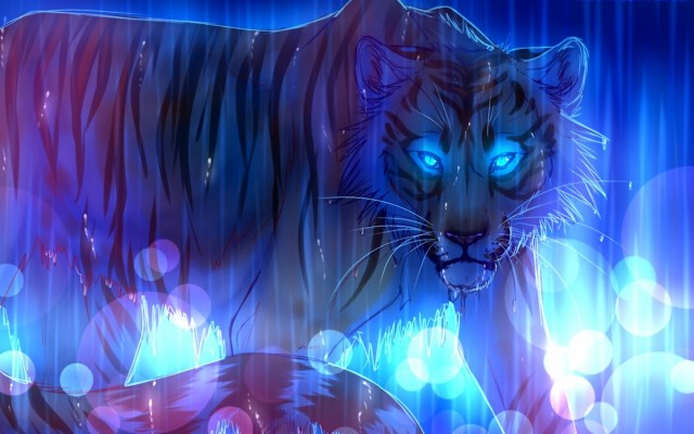 Cute-tiger Tigru Pisic Leu Pui Animals Cats - Tiger - 2560x1440