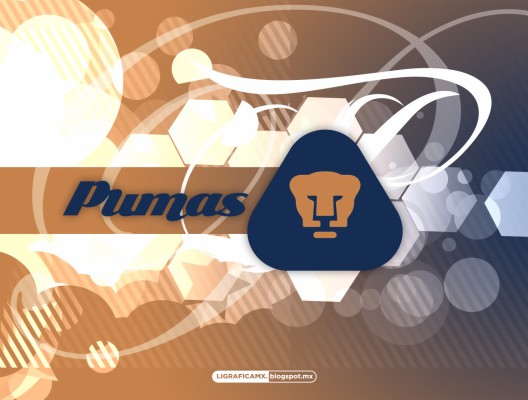 Pumas Unam Wallpaper - Equipo Pumas - 1480x1120 Wallpaper - teahub.io