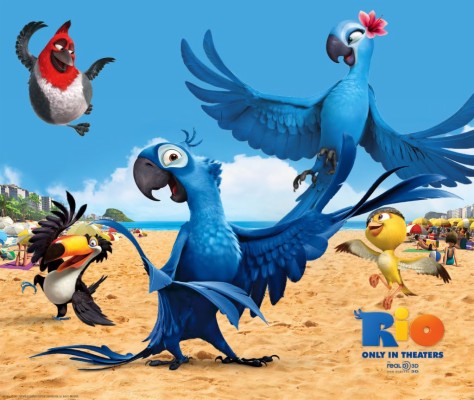 Rio Blu - 1023x862 Wallpaper - teahub.io