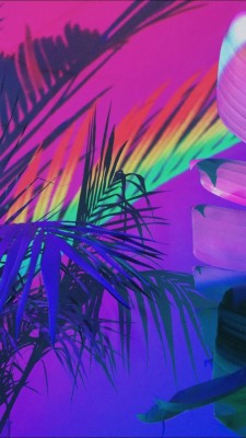 Wallpaper, Plants, And Rainbow Image - Neon Background - 720x1280 ...