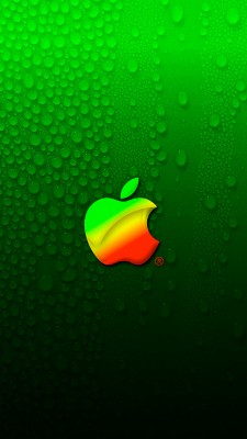 Red Apple Logo Wallpaper Iphone 6 744x1392 Wallpaper Teahub Io