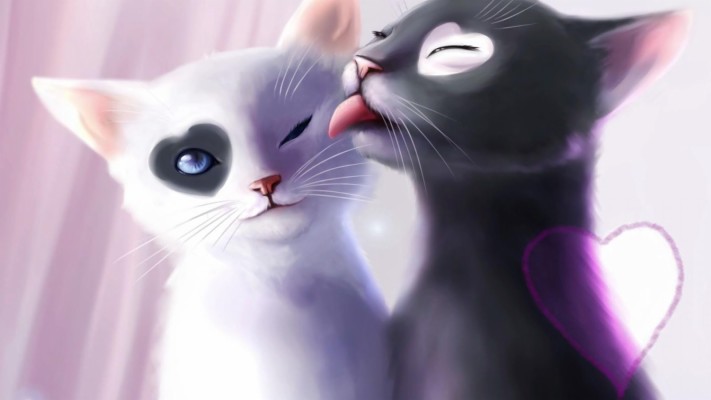 Cute-tiger Tigru Pisic Leu Pui Animals Cats - Tiger - 2560x1440
