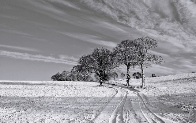 Fabulous Bild Black And White Winter Wallpapers And - Winter Black And ...