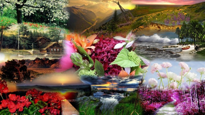 Most Beautiful Nature Widescreen High Definition Wallpaper - Desktop  Background Beautiful Nature - 1920x1080 Wallpaper 